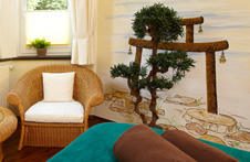 Ayurvedische Behandlungen in Schmallenberg
